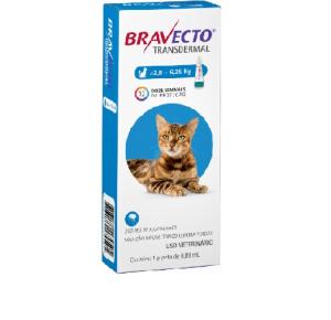 Antipulgas e Carrapatos Bravecto Transdermal MSD para Gatos 2,8 a 6,25kg